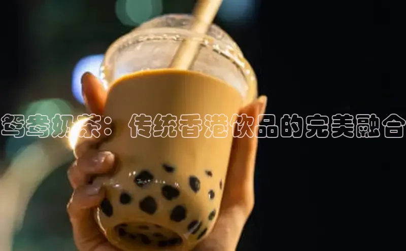 熊猫体育直播免费足球小红书