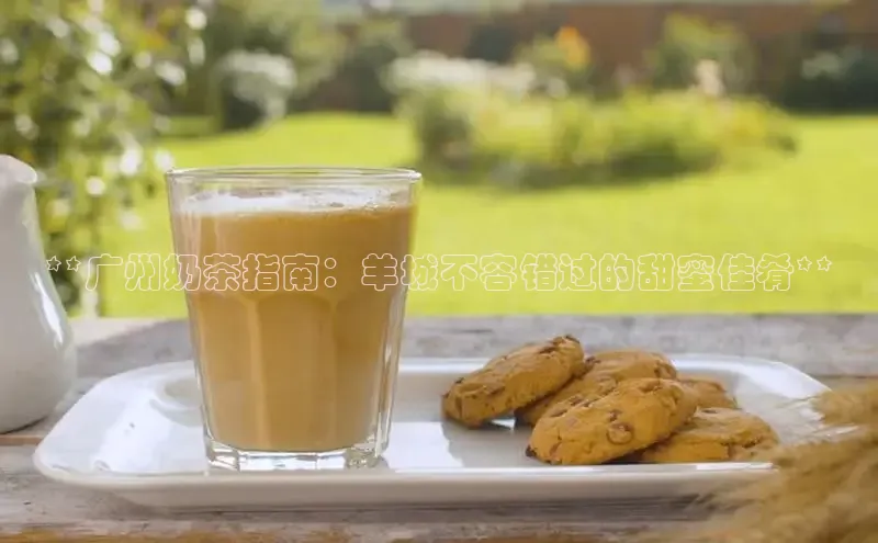 熊猫体育直播百度翻译