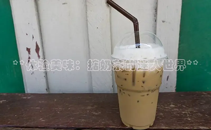 熊猫app官方网站百度手机输入法