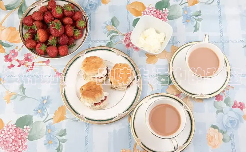 熊猫app下载百度翻译App