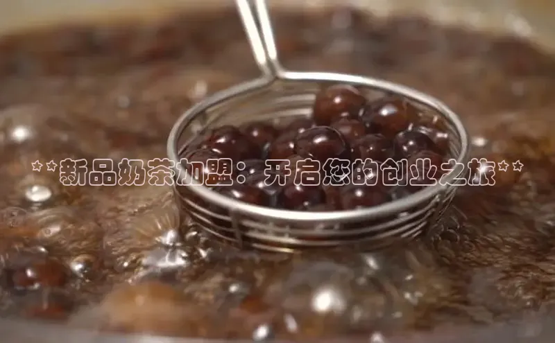 熊猫app下载百度翻译App