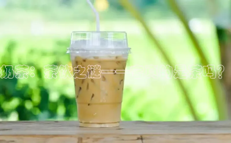 熊猫体育直播免费足球小红书